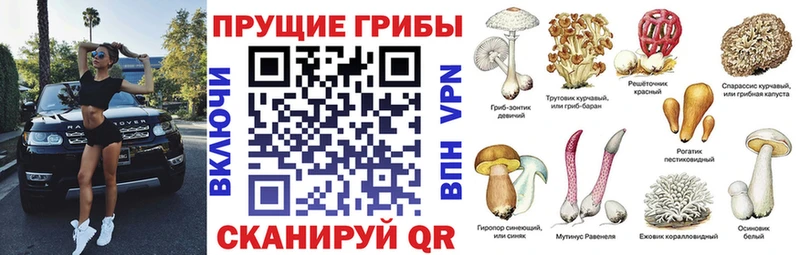 Псилоцибиновые грибы MAGIC MUSHROOMS  закладки  ссылка на мегу как зайти  Бирск 